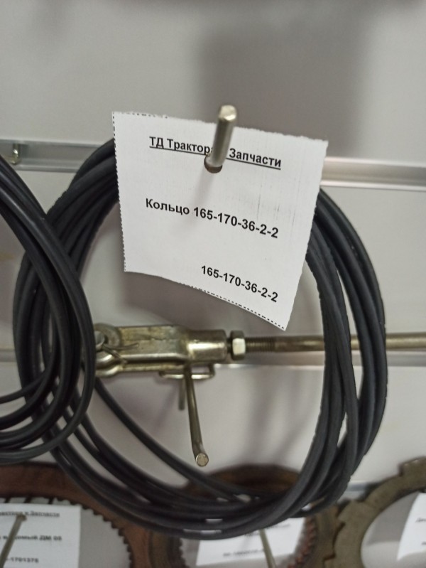 Кольцо 165-170-36-2-2 — 1