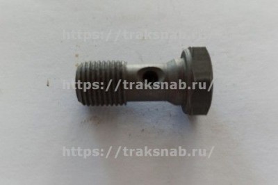 Болт крепления т. трубки