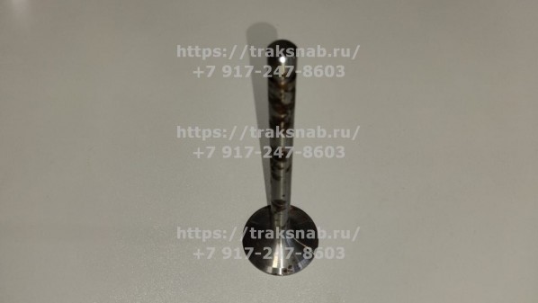 Клапан впускной (большой) Д-240 аналог — 2