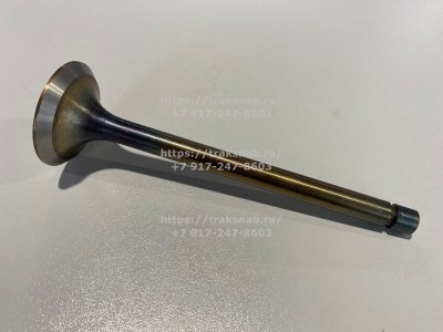 Клапан впускной (большой) Д-240 оригинал