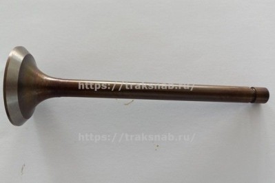 Клапан впускной (большой) Д-240 оригинал