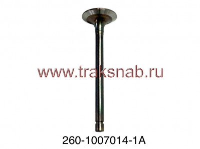 Клапан впускной (большой)  Д-260 оригинал