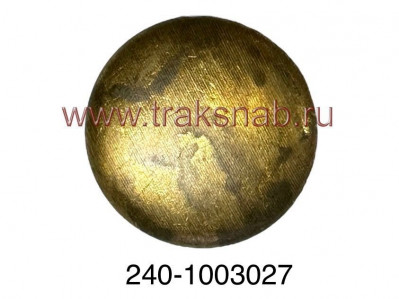 Заглушка головки блока 21г (латунь)