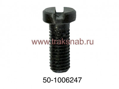 Винт крепления пластины распред/вала ММЗ